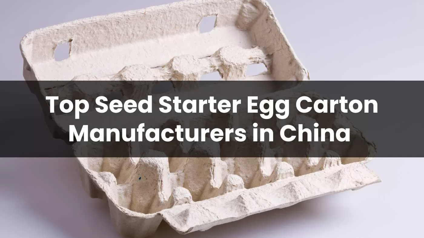 Seed Starter Egg Carton Manufacturers in China